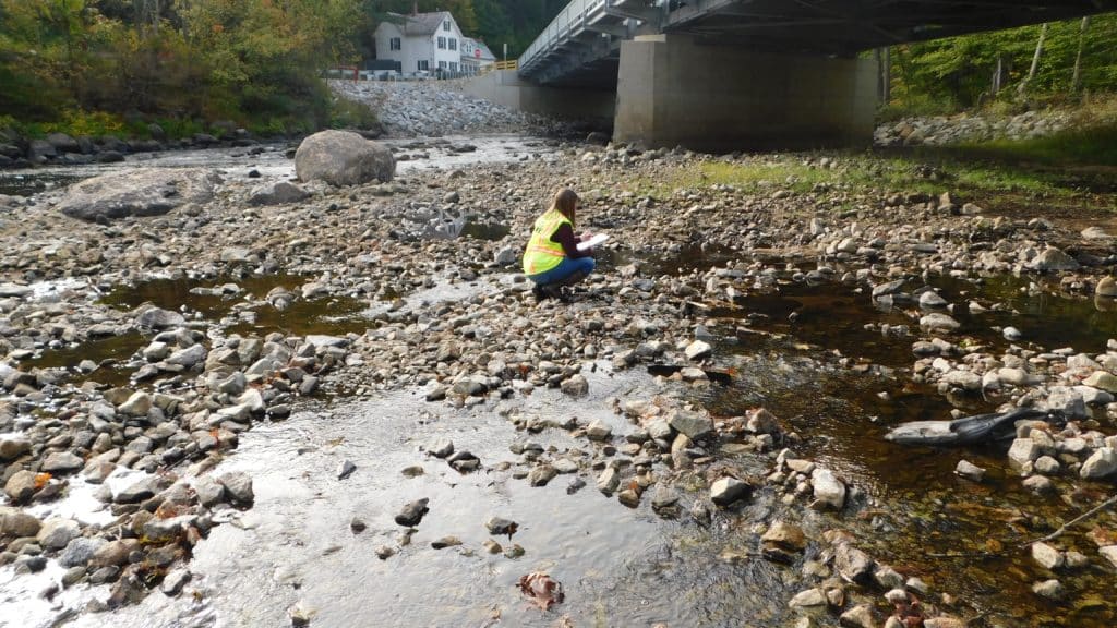Hoyle, Tanner Staff Inspecting River Bed for Permitting