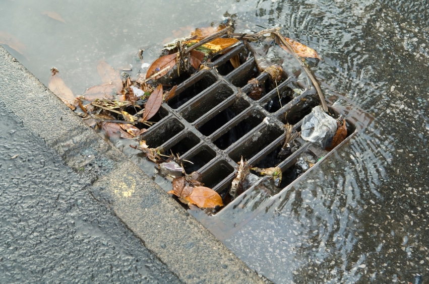 Storm Drain Photo