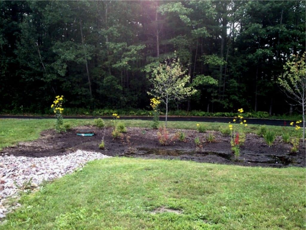 Bioretention