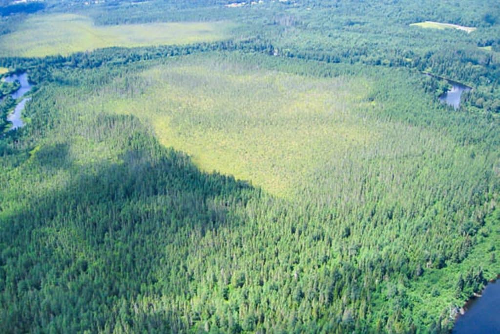 Image of Moose River Area aerial view